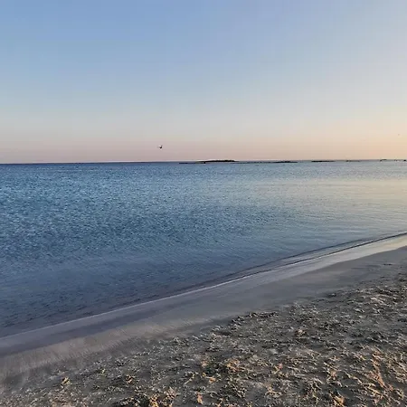 Дом отдыха Dogana